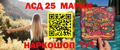 шишки Сланцы