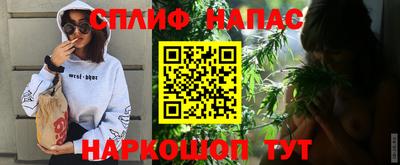 шишки Сланцы