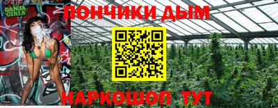 шишки Сланцы