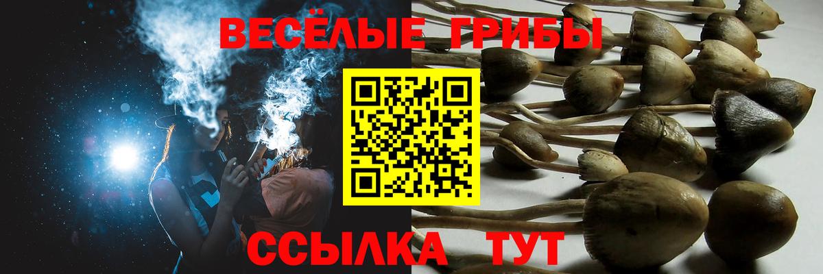 Галлюциногенные грибы мухоморы  Вход с VPN  Сальск 